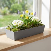 Prodotto Versatile vaso rettangolare in plastica grigia, 37 cm, ideale per il giardinaggio in interni ed esterni.