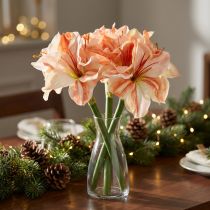 Prodotto Stella del cavaliere artificiale Fiori artificiali Amaryllis bianco rosso arancione 40 cm 3 pezzi