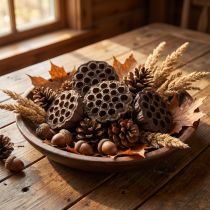 Prodotto Bulbo di loto grande 100 pezzi naturali