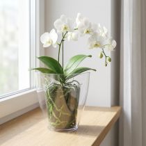 Prodotto Vaso per orchidee lucido Ø12,5 cm trasparente 1 pezzo