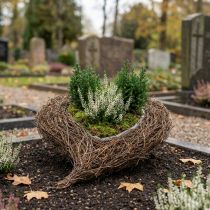 Prodotto Ciotola per piante cimitero cuore, cuore di vite per piantare 26 cm