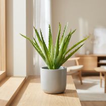 Prodotto Aloe Vera Verde artificiale 26cm