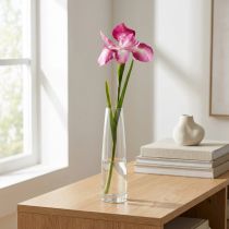 Prodotto Iris artificiale Rosa 78 cm