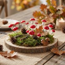 Prodotto Mini agarichi volanti su filo rosso bianco decorativi funghi Ø2cm 48 pz