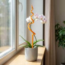 Prodotto Tutore per orchidee, plastica, arancione, supporto per orchidee, altezza 64 cm