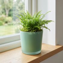 Prodotto Vaso di fiori in vetro vaso di vetro verde fioriera Ø11,5 cm H11 cm