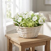 Prodotto Cestino con manici, cestino in truciolato, cestino per piante, bianco, vintage, decorativo, Ø35cm