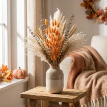 Prodotto Lagurus Erba di coda di coniglio essiccata Albicocca Fiori secchi decorativi 55-60 cm 50 g