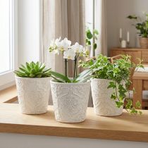 Prodotto Fioriera Vaso per piante in ceramica bianco Ø11 cm H11 cm 3 pezzi