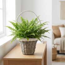Prodotto Cestino in vimini con manico, grigio e bianco, Ø25 cm, H45 cm, cestino decorativo per piante