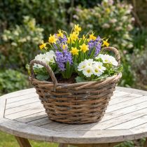 Prodotto Decorazione floreale, cestino in legno con manici, fioriera naturale, bianco lavato H12cm Ø24cm