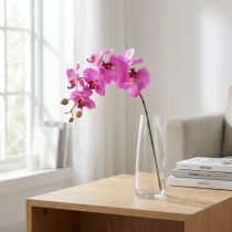 Prodotto Orchidea artificiale Phalaenopsis Orchidea Rosa 78 cm