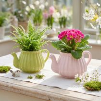 Prodotto Fioriera teiera decorativa in ceramica rosa verde 19,5×13,5×11 cm 2 pz