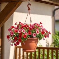 Prodotto Cesto sospeso Galizia Ø30cm terracotta
