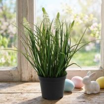 Prodotto Crema di giacinto d'uva Deco in una pentola da 26 cm
