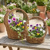 Prodotto Cesto da fiori con manico, motivo a vite, L18/22cm, set da 2