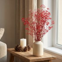 Prodotto Gypsophila Gypsophila Fiori secchi Rossi 50 cm 55 g