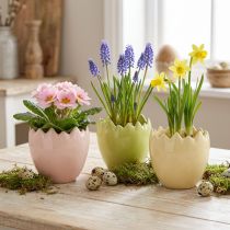 Prodotto Vaso da fiori a forma di uovo con bordo spezzato per un posizionamento creativo su davanzali e tavoli, 9 cm, 3 pezzi