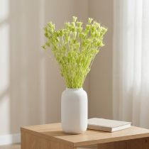 Prodotto Fiori di Nigella essiccati, affascinante decorazione naturale per la casa, 70 cm, 50 g