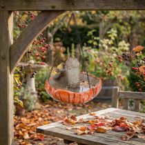 Prodotto Decorazione uccello autunnale per appendere funghi con 2 uccelli Ø20cm H15cm