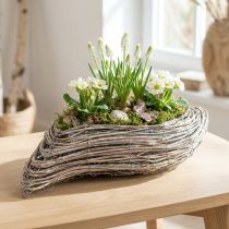 Prodotto Pianta barca pianta onda rattan bianco naturale 45x16 cm