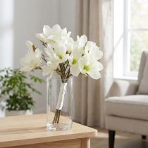 Prodotto Mazzo di magnolia bianco 40 cm 5 pz