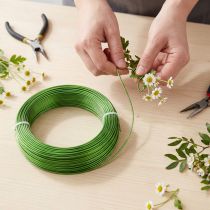 Prodotto Filo di alluminio Ø2mm Verde maggio 60m 500g Filo decorativo Filo per gioielli Filo per artigianato