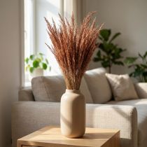 Prodotto Erba Piegata Rossa Agrostis Erba Secca Rosso Marrone 65 cm 80 g