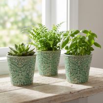 Prodotto Fioriera in ceramica craquelé smaltata verde Ø11cm H11cm 3 pezzi