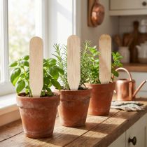 Prodotto Paletti da giardino Paletti in legno per erbe aromatiche &amp; Co 10 cm 12 pz