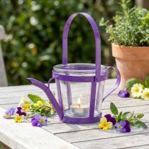 Prodotto Annaffiatoio decorativo in vetro lanterna metallo viola Ø14cm H13cm