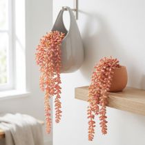 Prodotto Sedum 'Rubin' pianta pensile – succulenta decorativa e facile da curare, 43 cm, 3 pezzi.