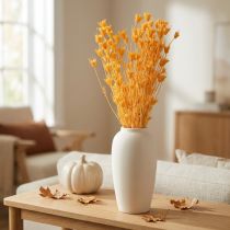 Prodotto Composizione di fiori secchi di nigella per un utilizzo a lungo termine. Elegante e di grande effetto. 70 cm, 50 g.