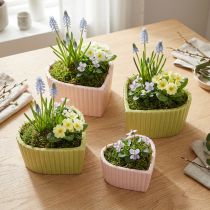 Prodotto Cuori decorativi in ceramica verde pastello rosa 11×10×6 cm 4 pz
