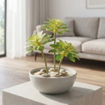 Prodotto Pianta artificiale succulenta con piccone Aeonium verde 30cm 4 pz