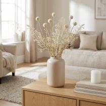 Prodotto Erbe secche erba di pampa artificiale allium crema, beige H60cm