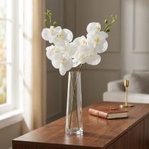 Prodotto Orchidea artificiale bianca Phalaenopsis Real Touch 85 cm