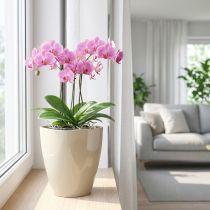 Prodotto Vaso per orchidee lucido Ø12,5 cm sabbia 1 pezzo