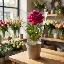 Prodotto Imbuto per imballaggio A sacchetti per fiori pellicola L25cm A25cm 50 pz