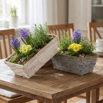 Prodotto Set cestino per patatine bianco, grigio, marrone 8 pezzi 20 cm x 11 cm