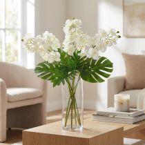 Prodotto Orchidea Crema-Bianco L57cm 6 pz