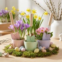 Prodotto Pale decorative, colori assortiti, 14 cm, 9 pezzi