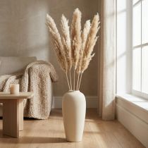 Prodotto Decorazione a secco erba di pampa essiccata sbiancata 70-75 cm 6 pz