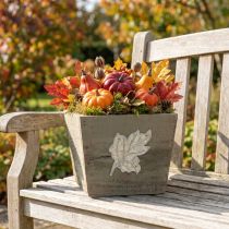 Prodotto Cassetta per piante in legno shabby chic grigia 11×14,5×14 cm