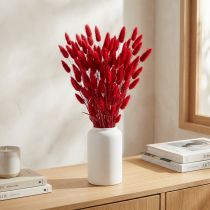 Prodotto Erba coda di coniglio (Lagurus) essiccata rossa 60 cm 50 g Decorazione floreale essiccata