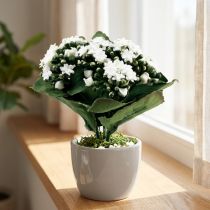 Prodotto Kalanchoe Flaming Käthchen bianca artificiale 24 cm