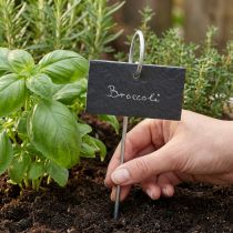 Prodotto Lastre di Ardesia Naturale Plug Plant Signs Nero 25 cm