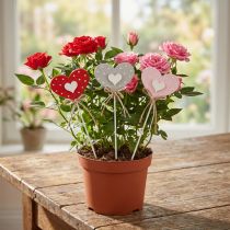 Prodotto Cuori cuori in legno punteggiati tasselli per fiori 6×5 cm 18 pz