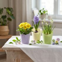 Prodotto Vaso per piante in carta intrecciata verde, giallo, viola Ø7cm A13cm 12 pezzi