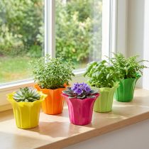 Prodotto Fioriera per piante in vaso, colorata assortita. Ø10,5 cm 10 pezzi